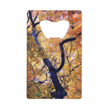 Hojas amarillas y naranjas