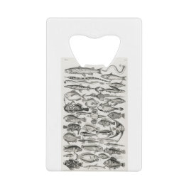 Abrebotellas De Tarjeta De Crédito Ichtiología, ictiología, pescado, océano, ictiólog