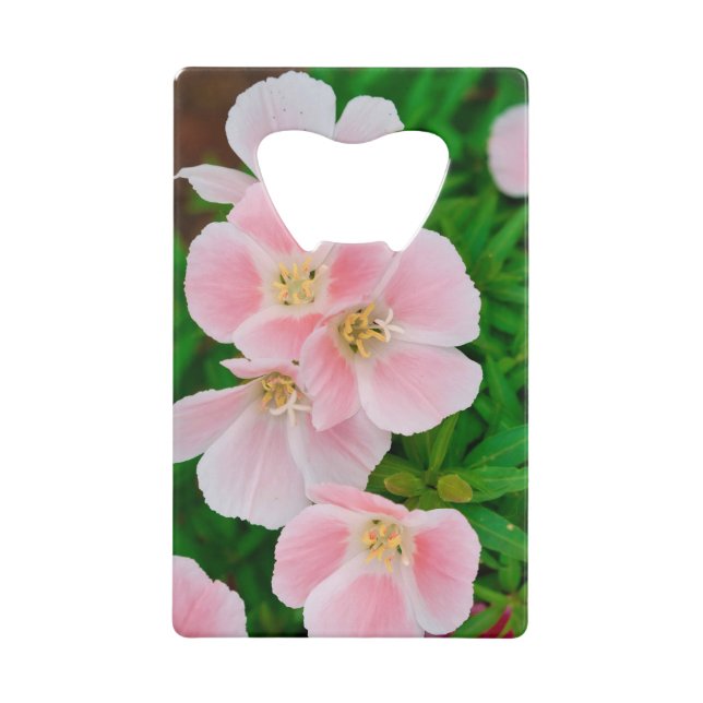 Abrebotellas De Tarjeta De Crédito Jardín 3 (Anverso)