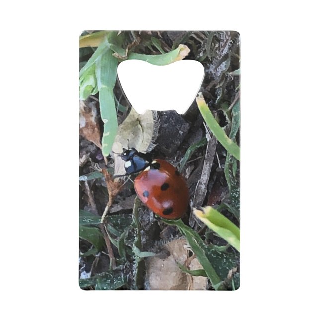 Abrebotellas De Tarjeta De Crédito Lady Bug (Anverso)