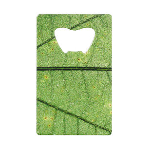 Abrebotellas De Tarjeta De Crédito Leaf verde extremo