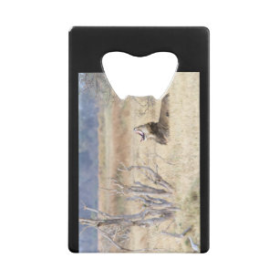 Abrebotellas De Tarjeta De Crédito León de Yawning