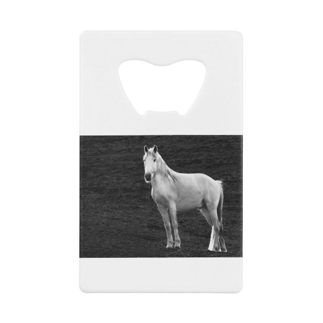 Abrebotellas De Tarjeta De Crédito LIN10BW el Stance.tif (Anverso)