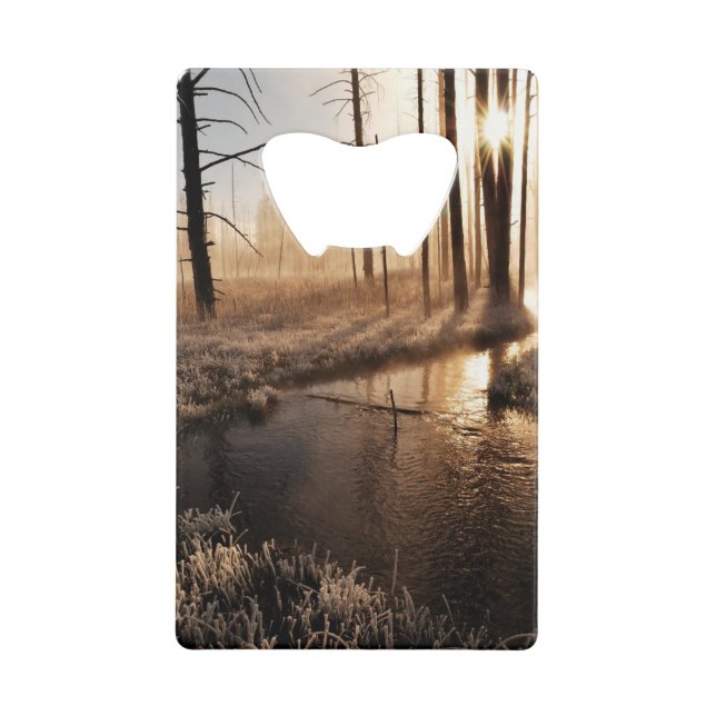 Abrebotellas De Tarjeta De Crédito Mañana escarchada de Yellowstone (Anverso)