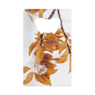 Abrebotellas De Tarjeta De Crédito Naranja leafs en invierno