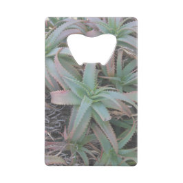 Abrebotellas De Tarjeta De Crédito Nevada succulantes