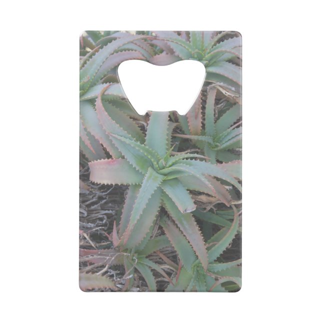 Abrebotellas De Tarjeta De Crédito Nevada succulantes (Anverso)