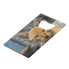 Abrebotellas De Tarjeta De Crédito Ojos dorados