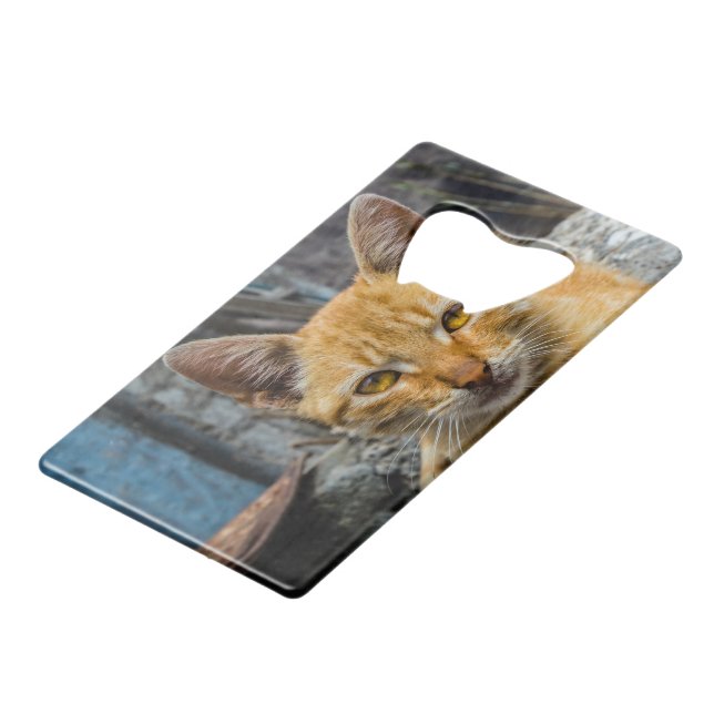 Abrebotellas De Tarjeta De Crédito Ojos dorados (Ángulo frontal)