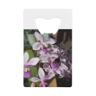 Abrebotellas De Tarjeta De Crédito orquídeas en miniatura