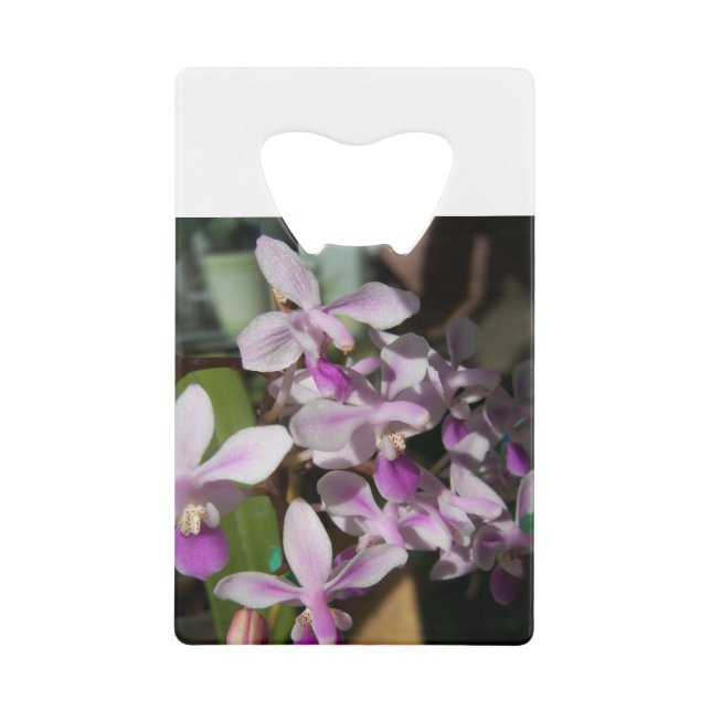 Abrebotellas De Tarjeta De Crédito orquídeas en miniatura (Anverso)