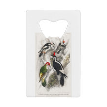 Pájaros de madera, pájaro carpintero verde, pájaro