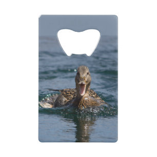 Abrebotellas De Tarjeta De Crédito Pato abierto con pico