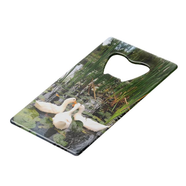 Abrebotellas De Tarjeta De Crédito Patos blancos, almohadillas de lirios, colas, oril (Ángulo frontal)