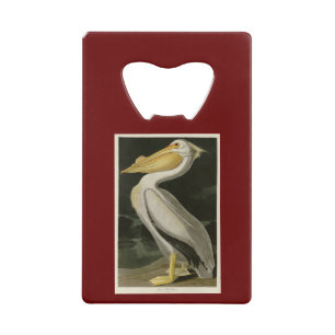 Abrebotellas De Tarjeta De Crédito Pelícano blanco estadounidense, pájaros de América