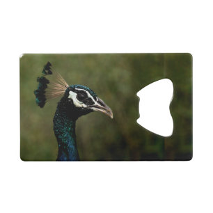 Abrebotellas De Tarjeta De Crédito Perfil del pavo real