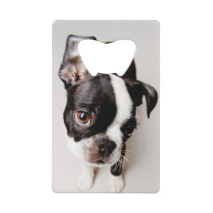 Abrebotellas De Tarjeta De Crédito Perrito de Edison Boston Terrier
