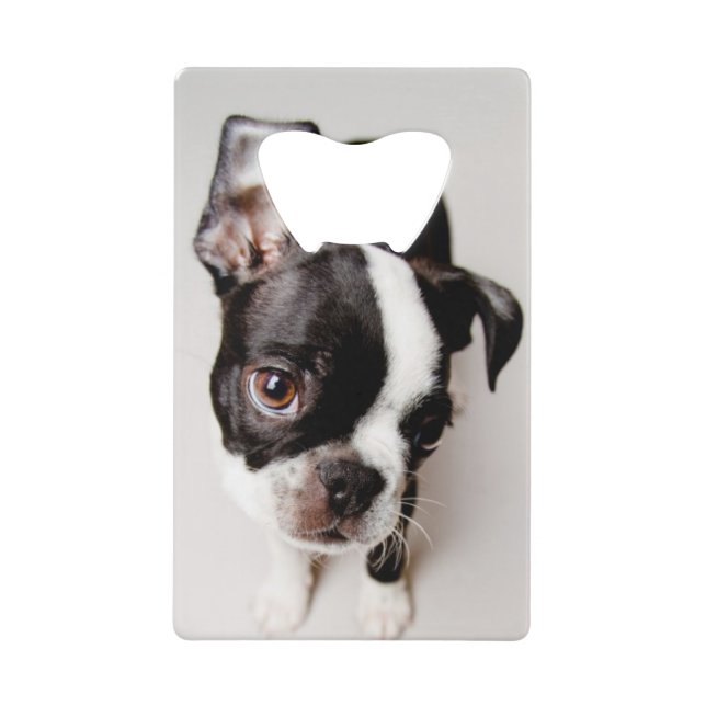 Abrebotellas De Tarjeta De Crédito Perrito de Edison Boston Terrier (Anverso)