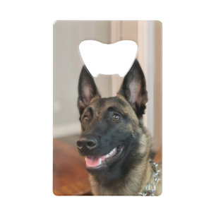 Abrebotellas De Tarjeta De Crédito Perro belga malinois