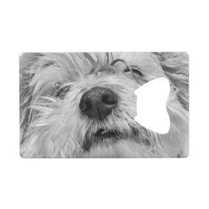 Abrebotellas De Tarjeta De Crédito Perro Coton de Tulear