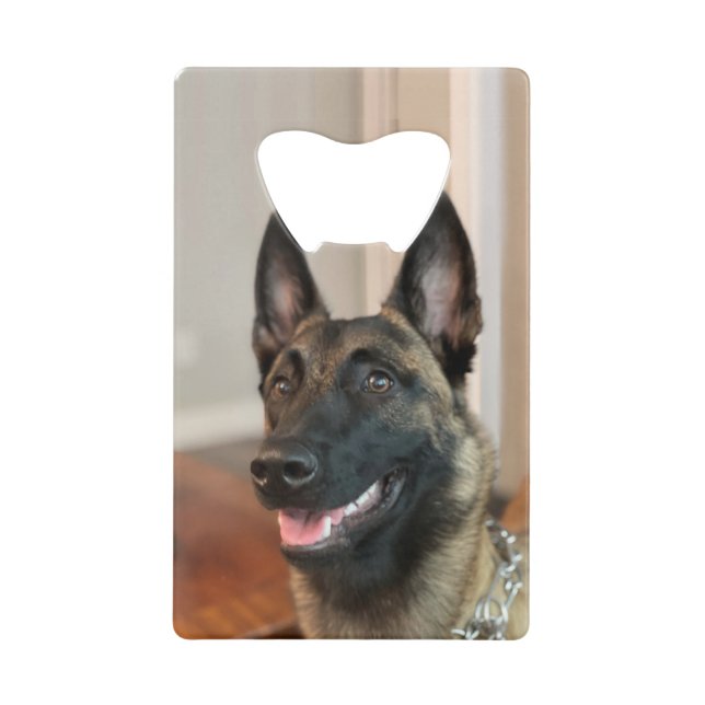 Abrebotellas De Tarjeta De Crédito Perro de Malinois (Anverso)