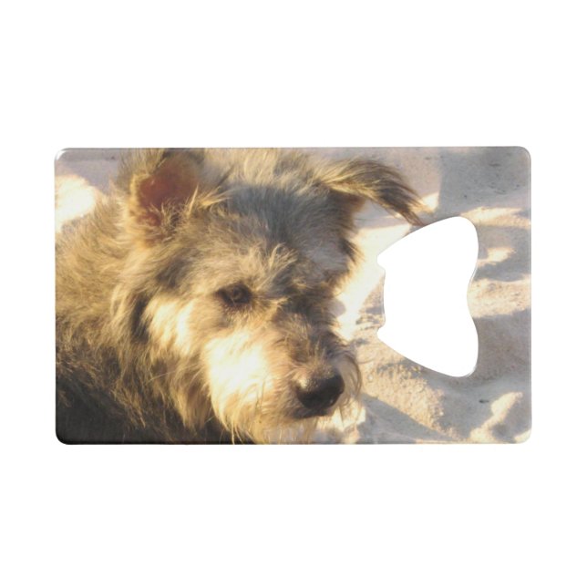 Abrebotellas De Tarjeta De Crédito Perro de playa tailandés (Anverso (Horizontal))