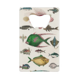 Abrebotellas De Tarjeta De Crédito pescado, océano, lindo, mar, agua, animal, pesca