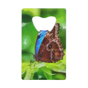 Abrebotellas De Tarjeta De Crédito Pintura de mariposa