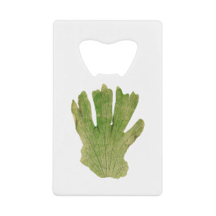 Abrebotellas De Tarjeta De Crédito Platycerium Grande (Fern gigante) hoja de helecho