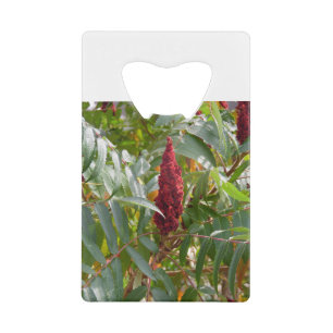 Abrebotellas De Tarjeta De Crédito Pluma de flores