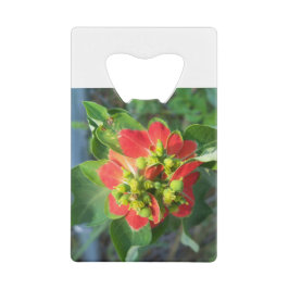 Abrebotellas De Tarjeta De Crédito Poinsettia silvestre