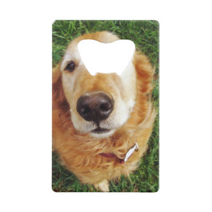 Abrebotellas De Tarjeta De Crédito Quién es un buen chico