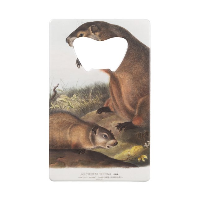 Abrebotellas De Tarjeta De Crédito Regalos Woodchuck Camping Deco (Reverso)