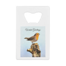Saludos de invierno. Robin cantando 
