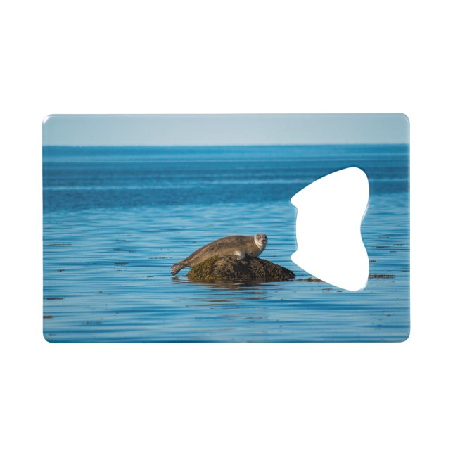 Abrebotellas De Tarjeta De Crédito Sello del puerto atlántico (Anverso (Horizontal))