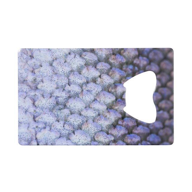 Abrebotellas De Tarjeta De Crédito Shimmering Salmon (Anverso (Horizontal))