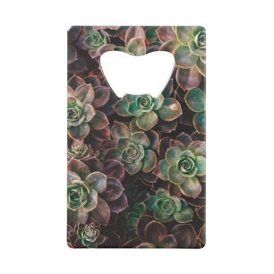 Abrebotellas De Tarjeta De Crédito Suculento