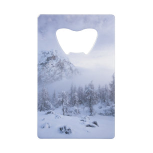 Abrebotellas De Tarjeta De Crédito Tierras maravillosas del invierno, niebla, bosque