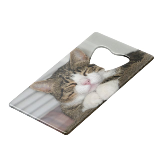 ABREBOTELLAS DE TARJETA DE CRÉDITO TJ (Ángulo frontal)