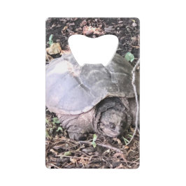 Abrebotellas De Tarjeta De Crédito Tortuga