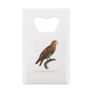 Abrebotellas De Tarjeta De Crédito tropical macaw parrot