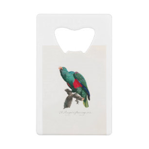 Abrebotellas De Tarjeta De Crédito tropical macaw parrot