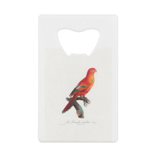 Abrebotellas De Tarjeta De Crédito tropical macaw parrot