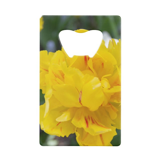 Abrebotellas De Tarjeta De Crédito Tulipanes amarillos en el jardín (Anverso)