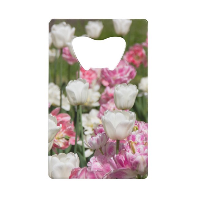 Abrebotellas De Tarjeta De Crédito Tulipanes blancos y rosas brillantes en un día sol (Anverso)