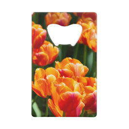 Abrebotellas De Tarjeta De Crédito Tulipanes naranjas brillantes en el parque