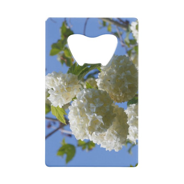 Abrebotellas De Tarjeta De Crédito White flowers of guelder rose tree (Anverso)