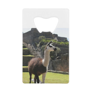 Abrebotellas De Tarjeta De Crédito Wild Llama Near Ruins
