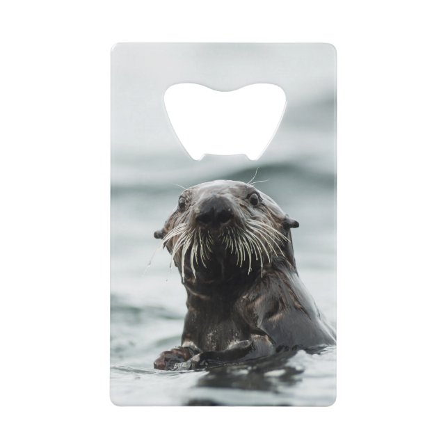Abrebotellas De Tarjeta De Crédito Wise Otter (Anverso)
