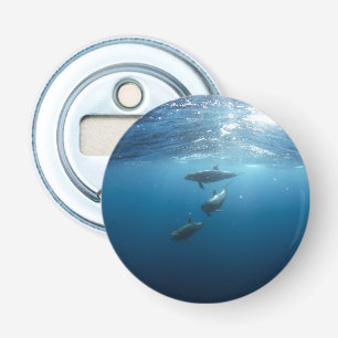 Abrebotellas Dolphin Family Underwater